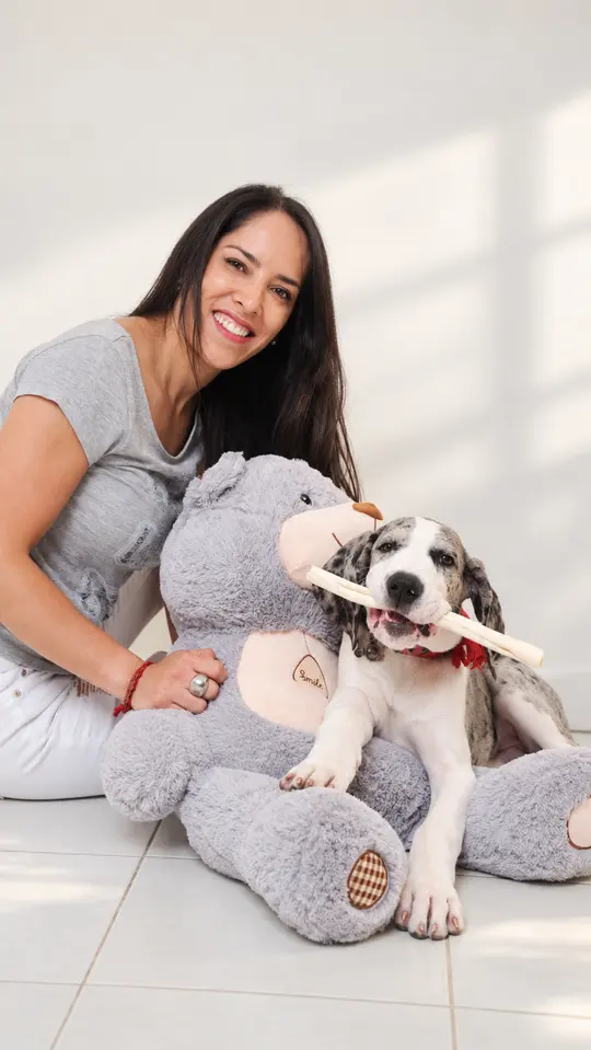 Una mujer con su cachorro arlequín junto a un oso de peluche.