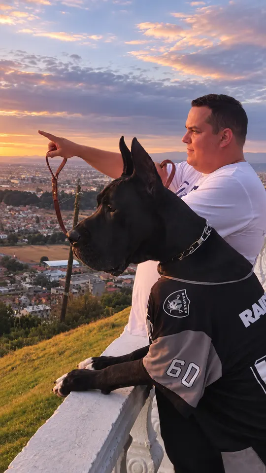 Un hombre y su gran danés negro con chamarra, contemplando la ciudad desde un mirador.